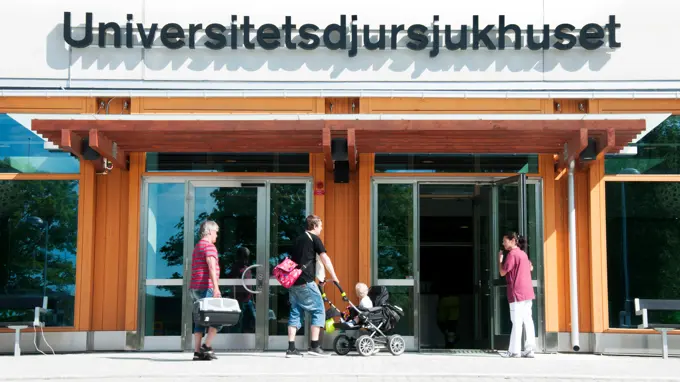 A building with an entrance in which people and pets enter and leave. Above the entrance a text on the facade: "Universitetsdjursjukhuset".