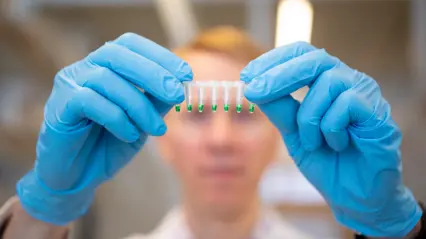 Person med blå skyddshandskar håller upp provrör med grön vätska.