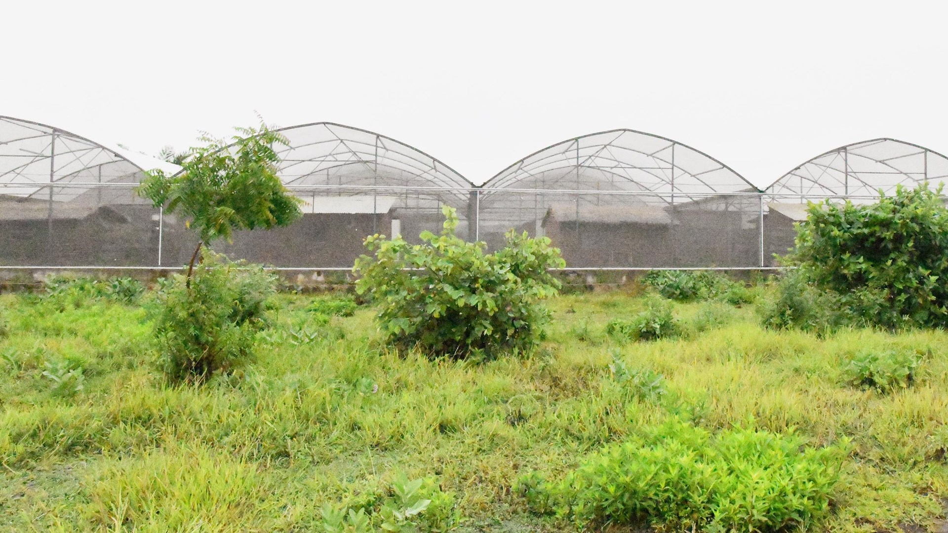 A picture of huts evenly placed in a row, where each of them are contained in a large net cage.