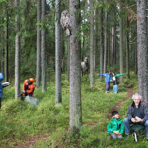 People being in a forest