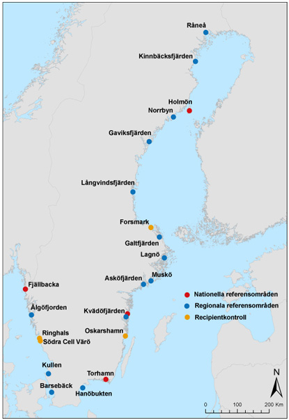 Karta över provfiskeområden, de fyra nationella referensområdena markerade med rött.