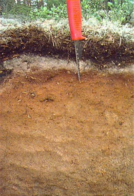 En jordprofil med en kniv med rött skaft bredvid, foto.