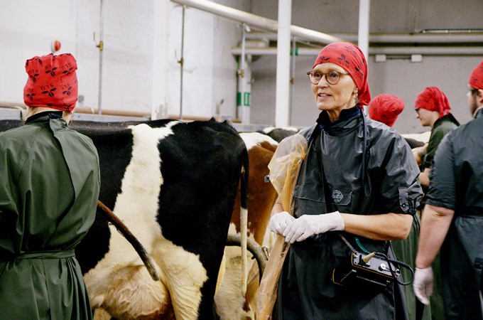 Renée Båge in a barn with cows and students
