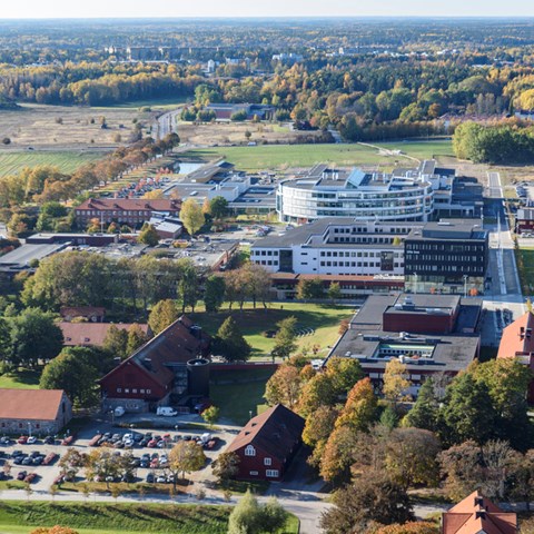 Flygbild över SLU:s campus i Uppsala.