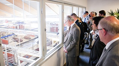 Observation room window at the Swedish Livestock Research Center. HMK Carl XVI Gustaf looks down at the cattle stables at the inauguration of the facility in May 2012. Photo