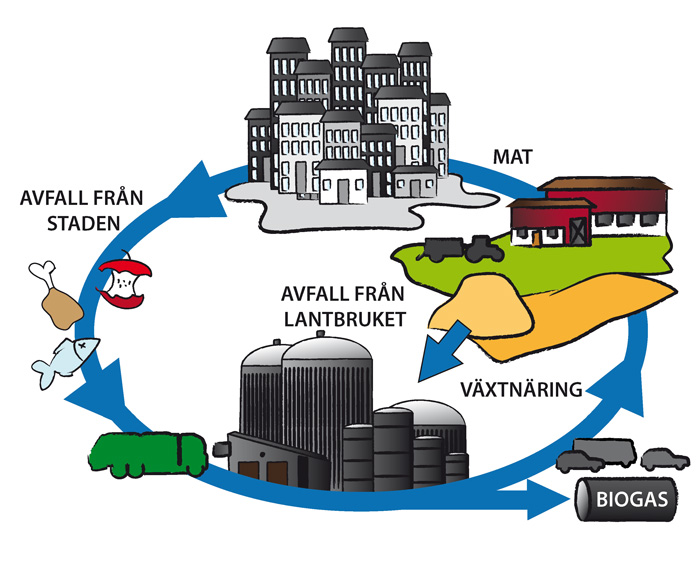 En bild över biogaskretsloppet, illustration.