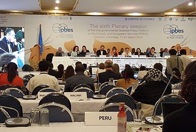 Konferensrum med människor framför ett podium, loggor med IPBES på väggen bakom. Foto.