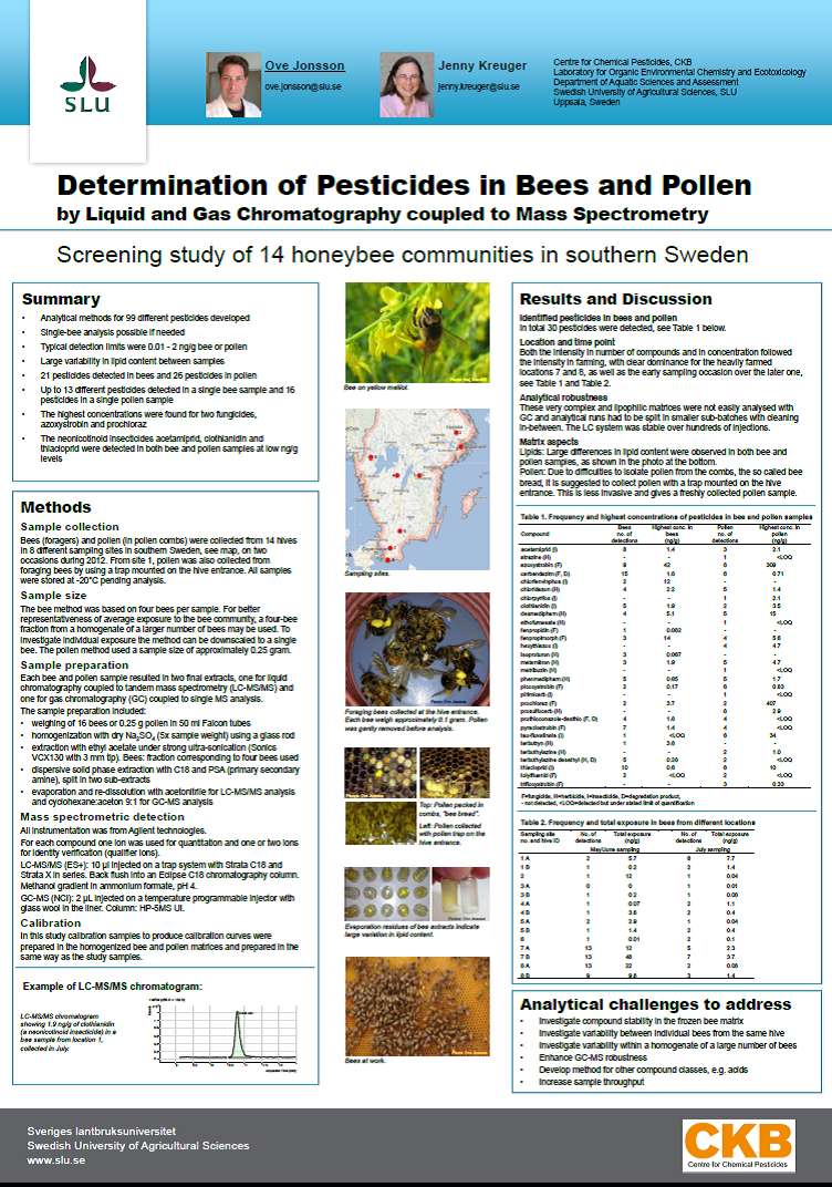 Poster bees and pollen