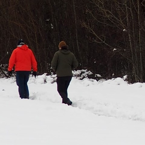 En grupp människor går i rad i snön längs en vandringsled. Skogen ligger mörk i kontrast till den vita snön.