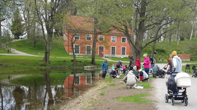 Familjer håvar i damm i Karlslunds kulturreservat