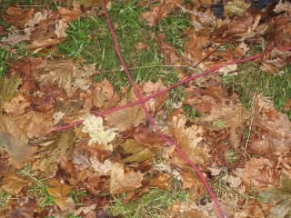 Två rep i ett kors bland löv på marken. 