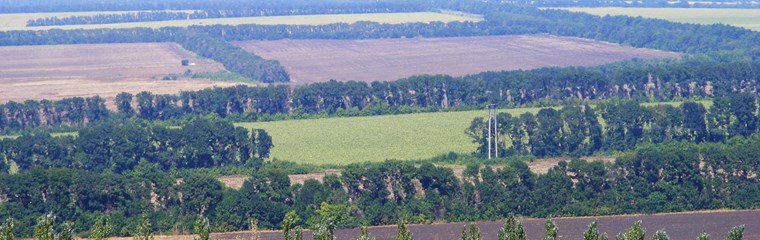 Vy över jordbrukslandskap med mycket träd i Donetskregionen i Ukraina.