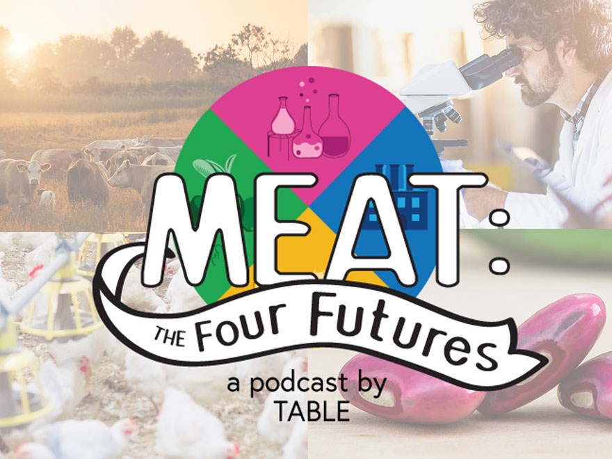 Ikon for podcast Meat: the 4 futures