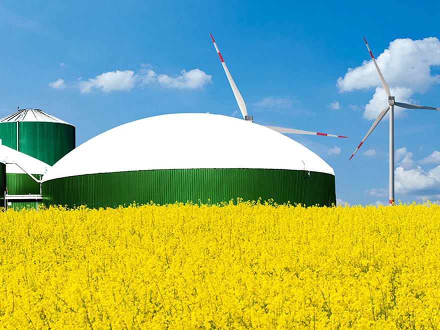 Biogasanläggning. I förgrunden blommande gult rapsfält, i bakgrunden blå himmel och vindkraftverk. Foto.