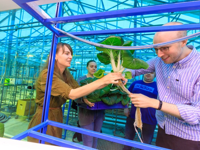 People with plants in a greenhouse. Photo.