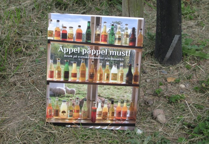 Färgfoto som föreställer framsidan av boken "Äppel, päppel, must". På framsidan syns tre rader flaskor som står på hyllor i ett fönster.