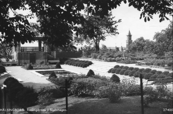 Äldre svartvitt foto av Rosenträdgården i Slottshagen i Helsingborg. 