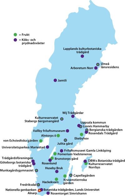 Karta över Sverige där platserna för de olika klonarkiven är inritade. 