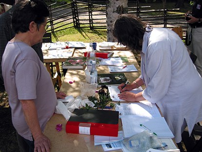 Färgfoto som visar besökare som får hjälp att sortbestämma sin ros vid en kom-och-visa-dag.