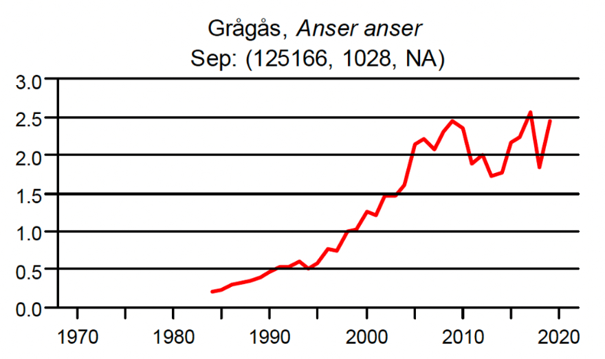 Grågås index september 1988–2020