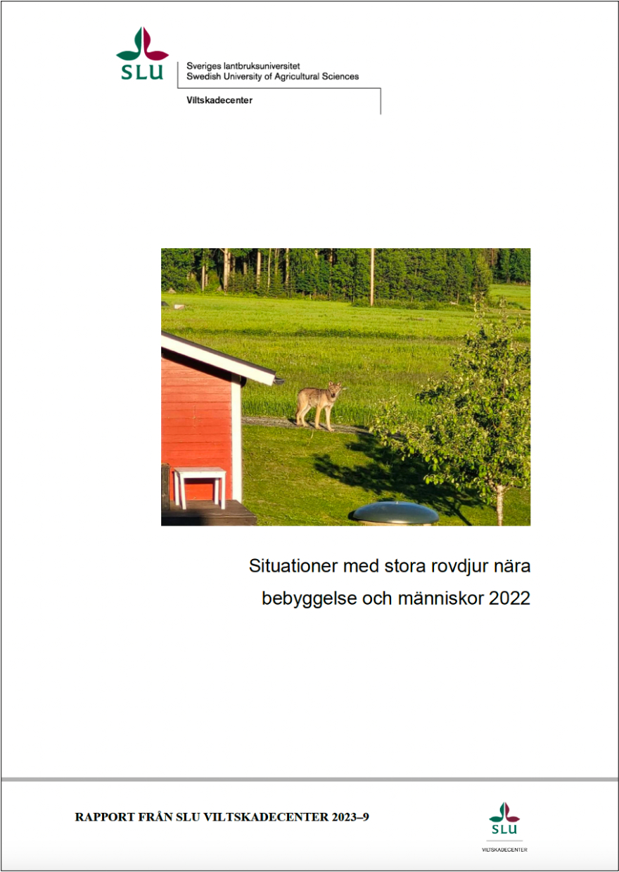 Situationer med nära rovdjur 2022-rapportframsida