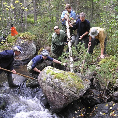 Personer flyttar på sten i vattendrag. Foto.