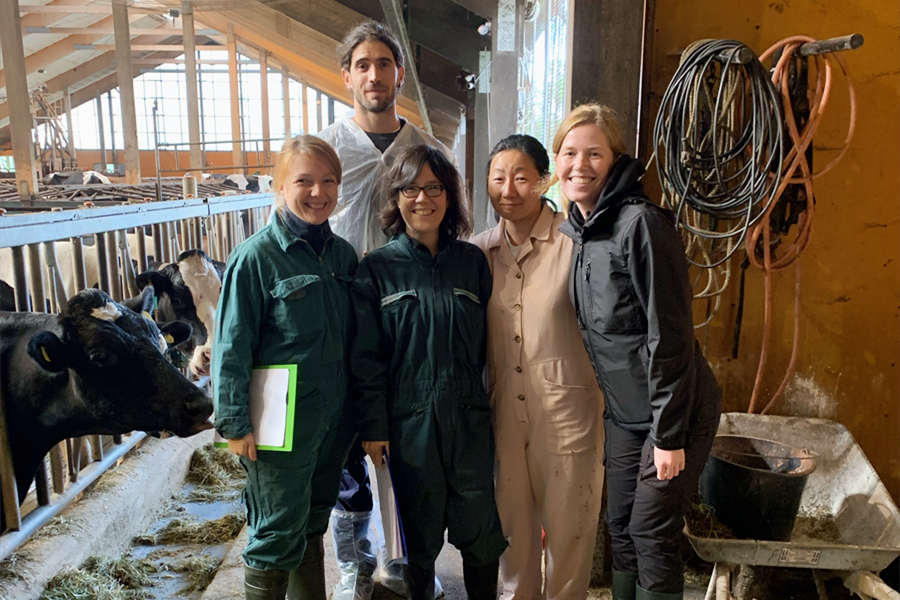 Five people in overalls stand in a barn with cows.