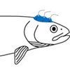 Skiss: Fisk med mätutrustning på huvudet