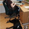 Photo: A woman sitting workin at the computer with at dog laying at the floor.