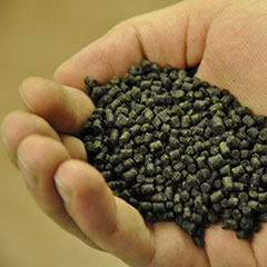 A hand holding pelleted fish feed. Photo.