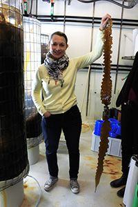 Emma Ivarsson holding a long brown algae in her hand. Photo. 