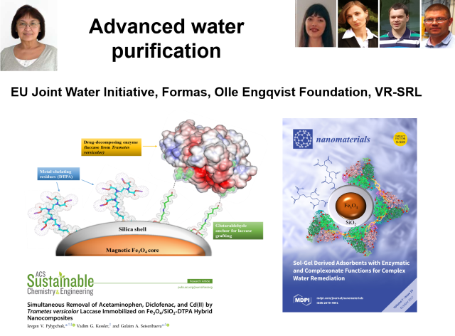 overview of water purification project