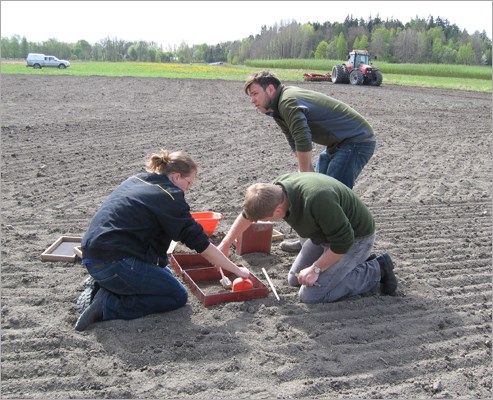 Three people on a field takes samples, photo.