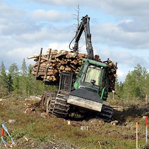 A forest machine with timber, photo.