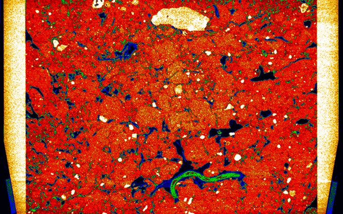 x-ray image of soil in red.