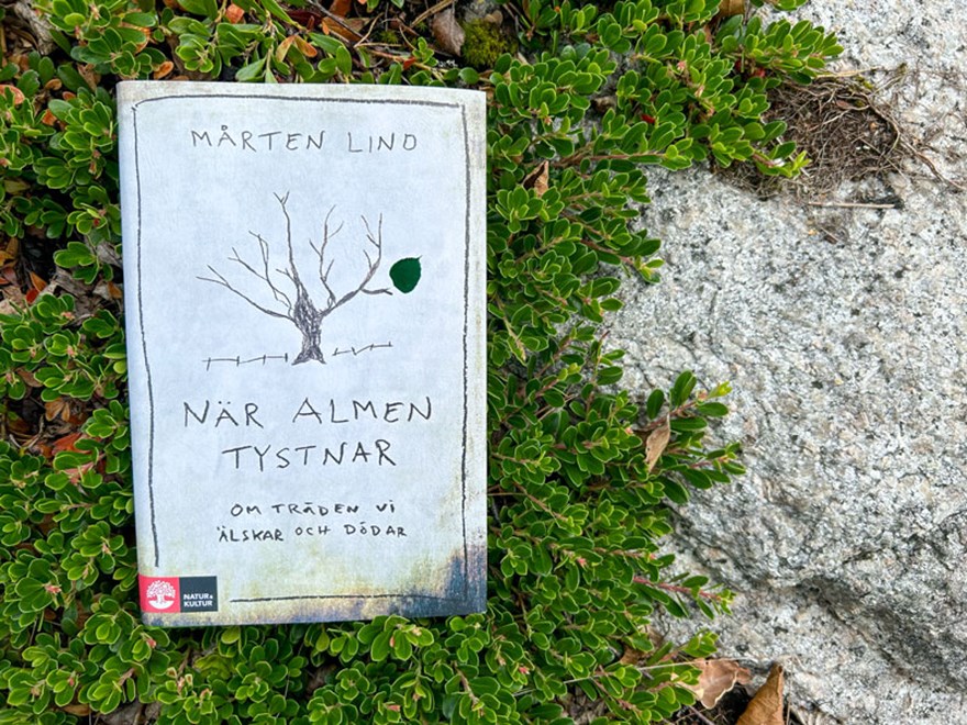 En bok med titeln "När almen tystnar" liggandes på skogsmark. Foto.