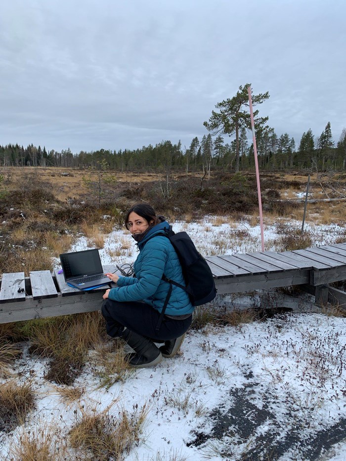 Research on peatland outside Umeå