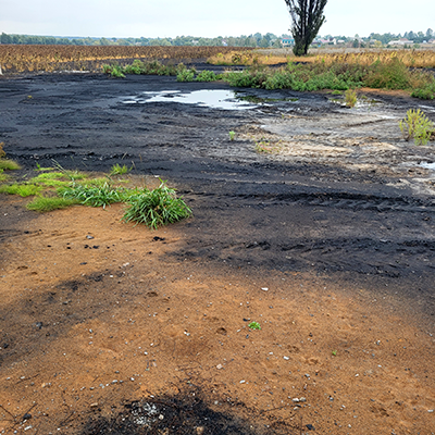 A field in the village Kalynivka - a suburb to Kiev - where an oil refinery was bombed in the very beginning of the war, and there is  oil spill everywhere.