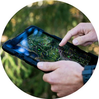 A tablet with a forest program. Photo.