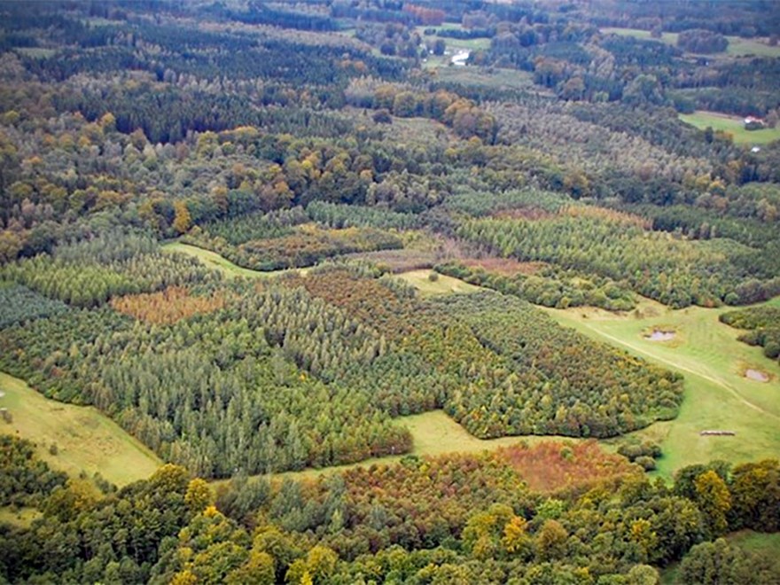 An aerial photo of fields and forest. Photo.