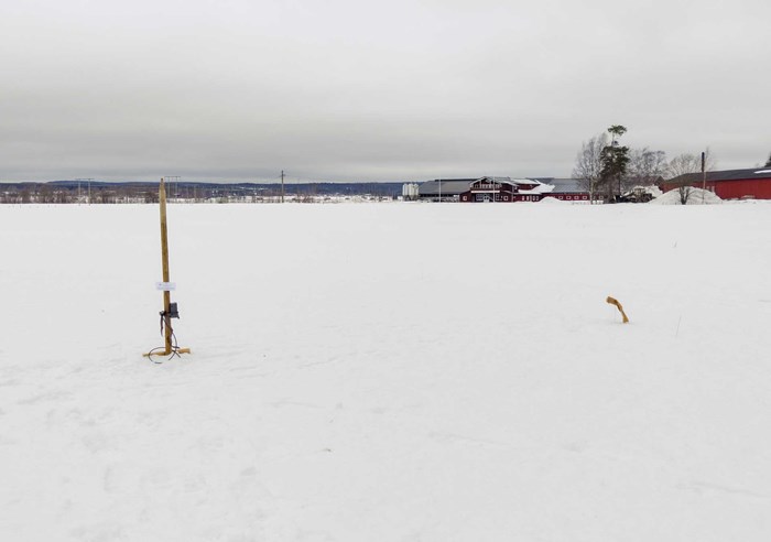 Viltkamera på en pinne uppsatt på snötäckt fält med lockbete framför.