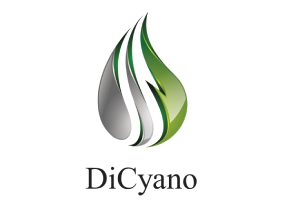 The DiCyano logotype. Illustration.