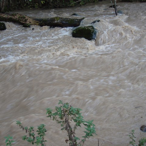 Stream with turbid water. Photo.