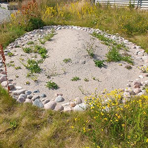 A pile of sand surrounded by a ring of stones in a meadow.