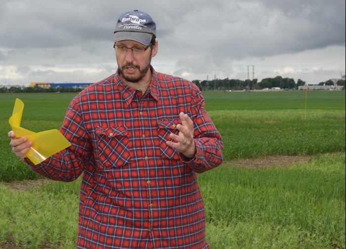 Man is talking on an agricultural field.