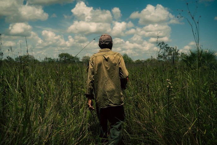 En man går igenom ett gräsklätt landskap.