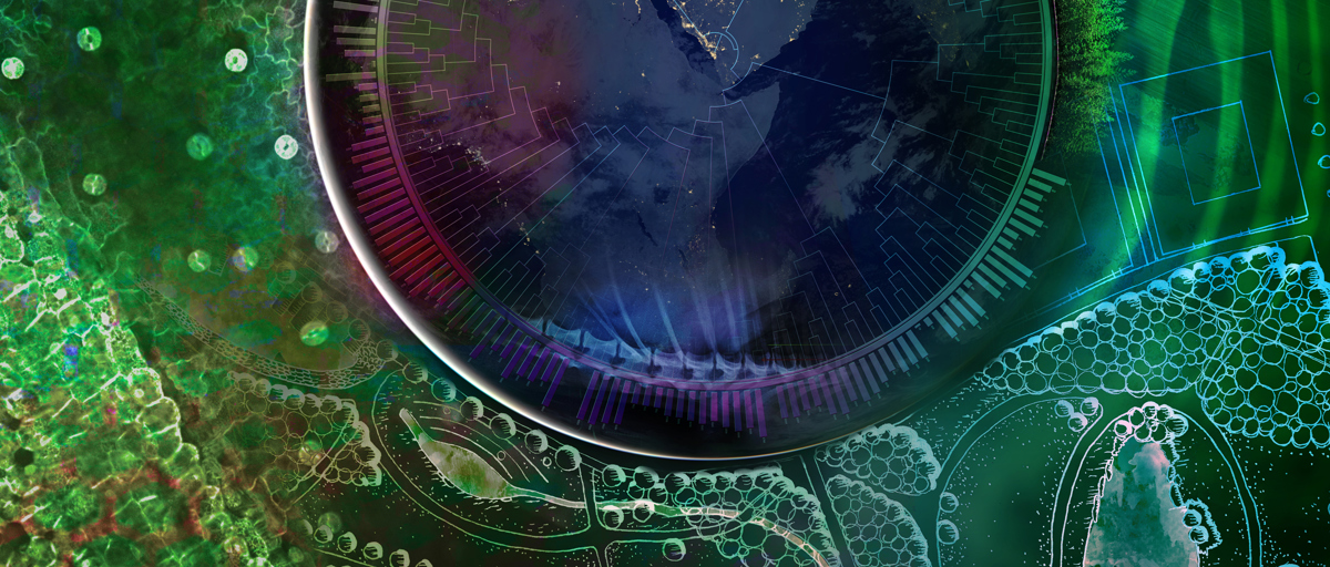 Former group members slu.se