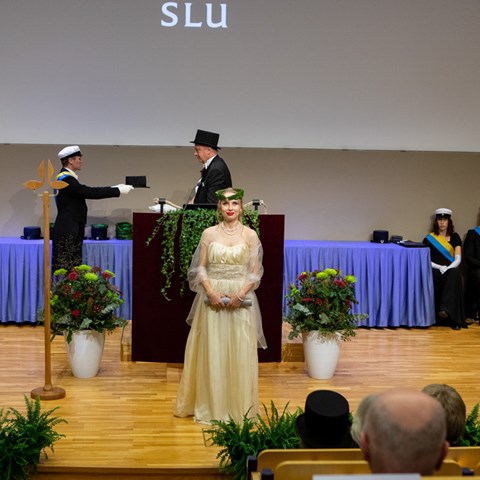 Doctoral ceremony of 2022