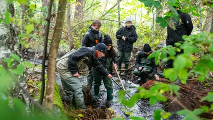 En grupp personer i vadarstövlar utför elfiske i en liten bäck omgiven av grönskande skog. En man i vadarbyxor och mössa håller i en håv och en elektrofiskestav medan han pratar med de andra, som håller i en svart hink och annan utrustning. Miljön är naturlig och fuktig, med stenar och grenar i vattnet