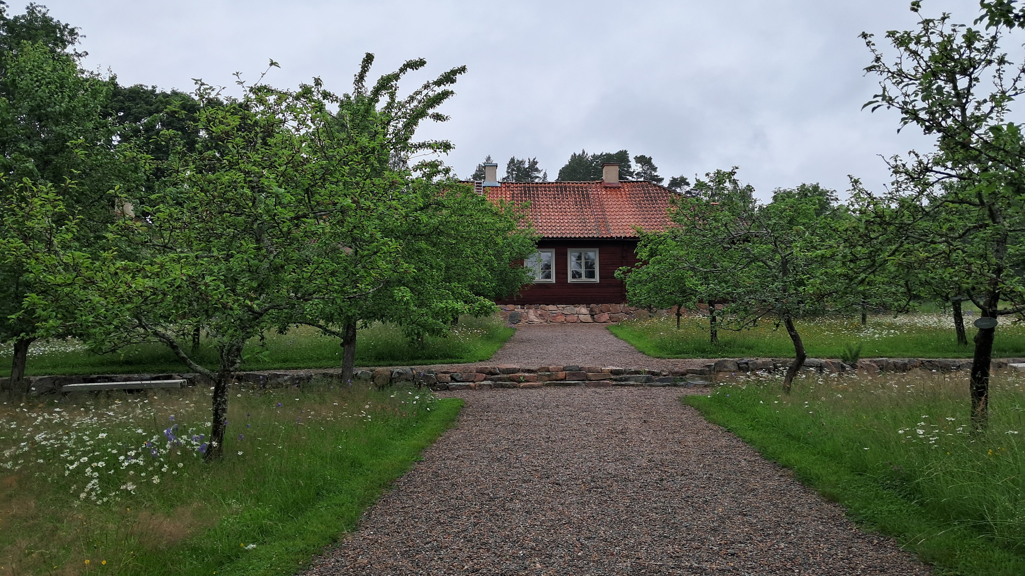 I mitten av fotot ses en bred trädgårdsgång som leder bort till ett gammalt hus i timrat trä. På båda sidorna om gången växer äppelträd. 